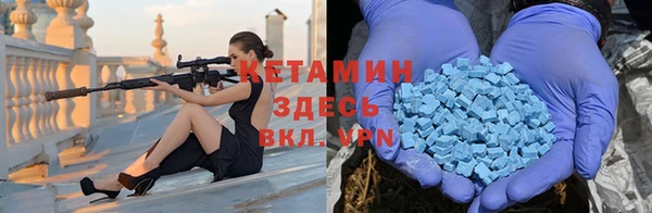 мет Алексин