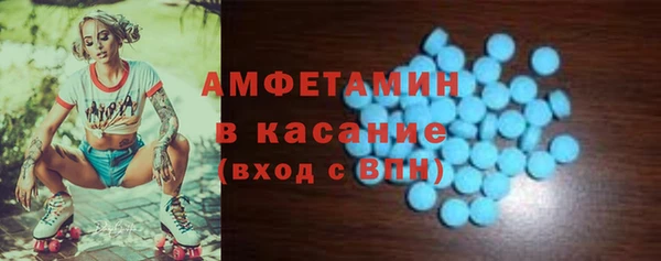 мет Алексин