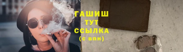 мет Алексин