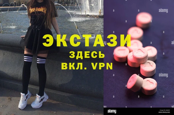 стаф Надым